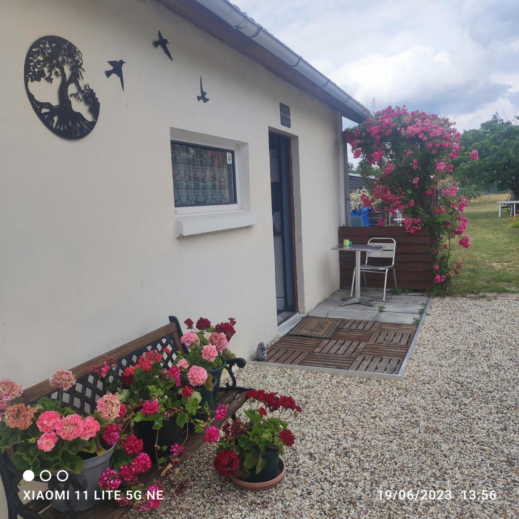 Gasthaus Tranquillite & Independance Au Coeur De La Sologne Lamotte-Beuvron Exterior foto
